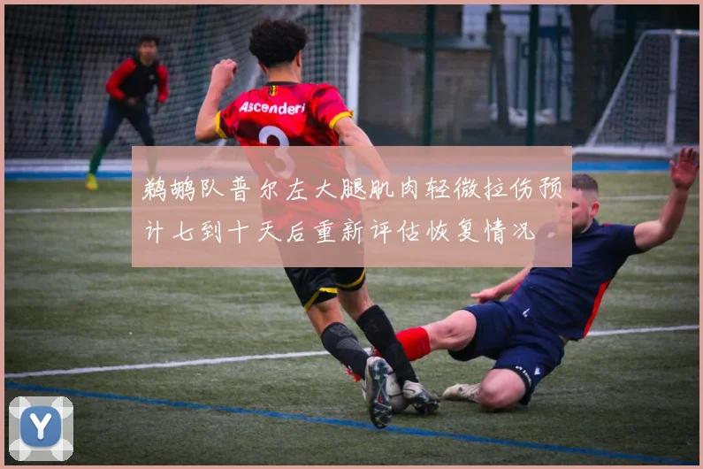 鹈鹕队普尔左大腿肌肉轻微拉伤预计七到十天后重新评估恢复情况