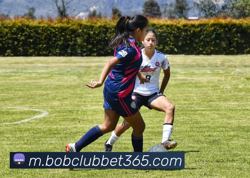 bob体育APP 封面图